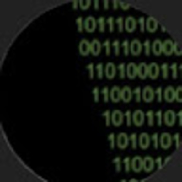 Meet your Posher, Brody - Picture 1 of 1